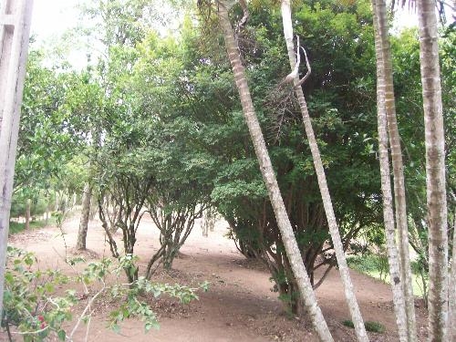 Rural em , Morungaba - Foto 4