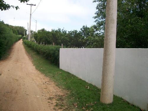 Rural em , Morungaba - Foto 5
