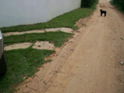 Rural em , Morungaba - Foto 6