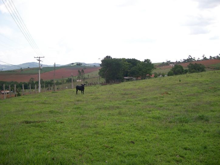 Rural em Tuiuti, Morungaba - Rural - Tuiuti - Foto 3