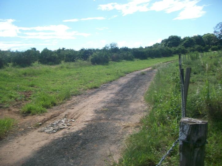 Comercial em , Jaguariúna - Comercial -  - Foto 3