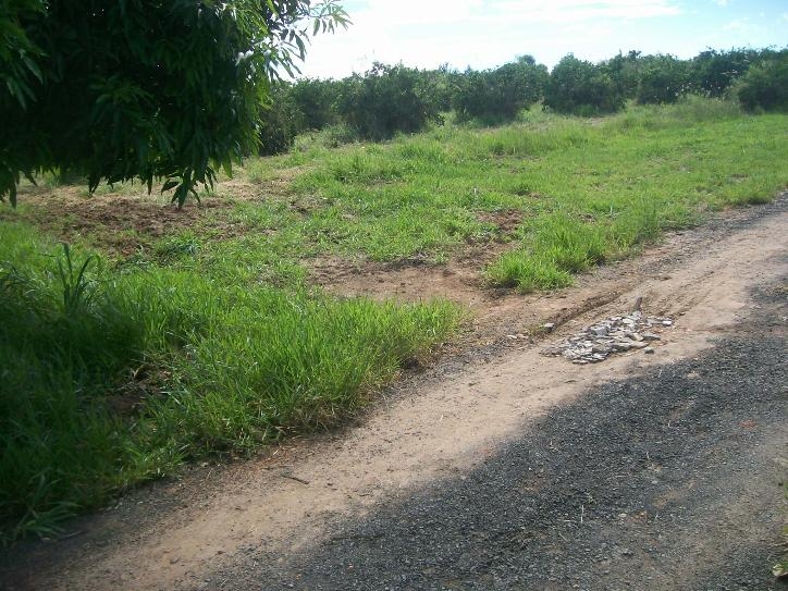 Comercial em , Jaguariúna - Foto 4