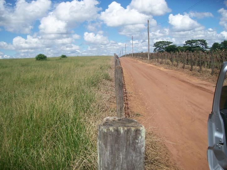 Comercial em , Jaguariúna - Comercial -  - Foto 3