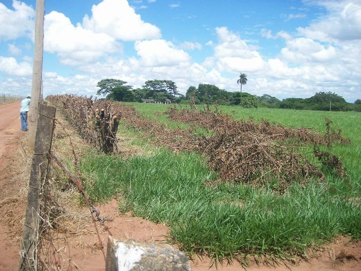 Comercial em , Jaguariúna - Foto 6