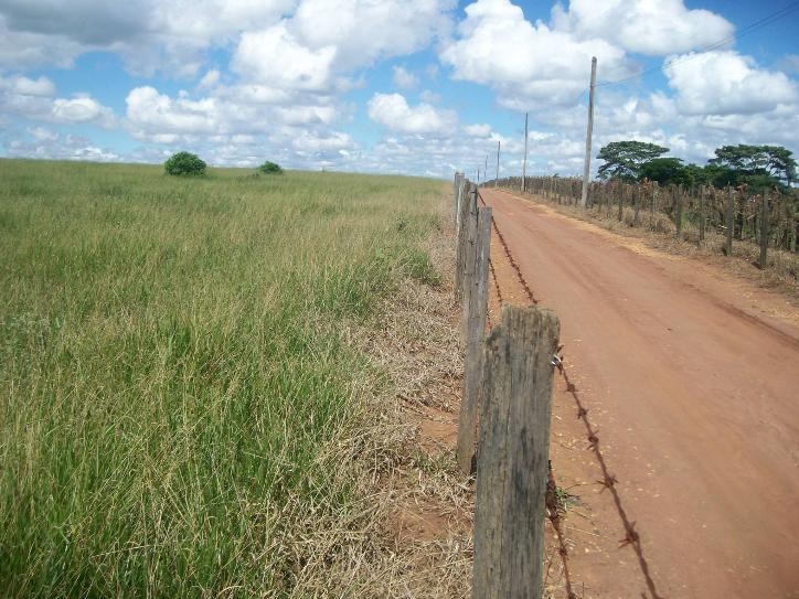 Comercial em , Jaguariúna - Foto 7
