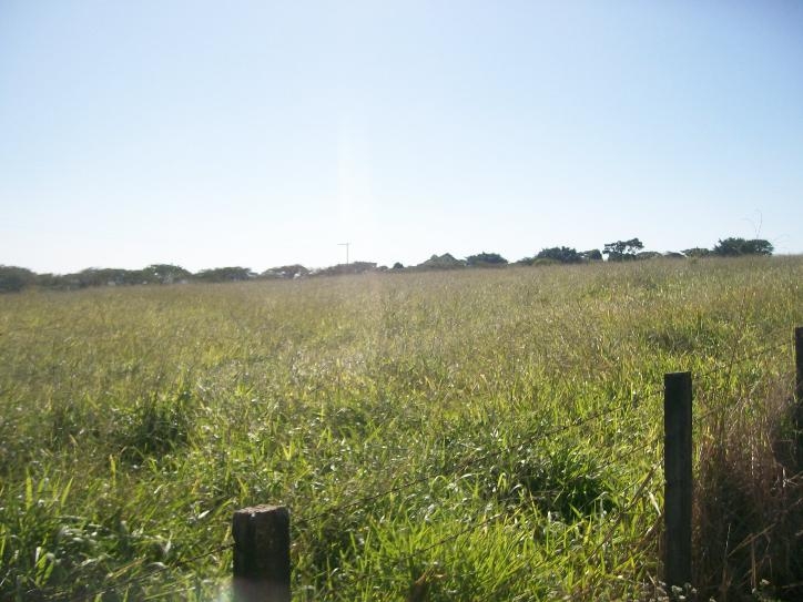 Comercial em , Jaguariúna - Foto 5