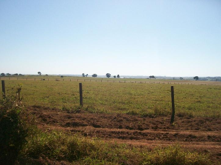 Comercial em , Jaguariúna - Foto 8