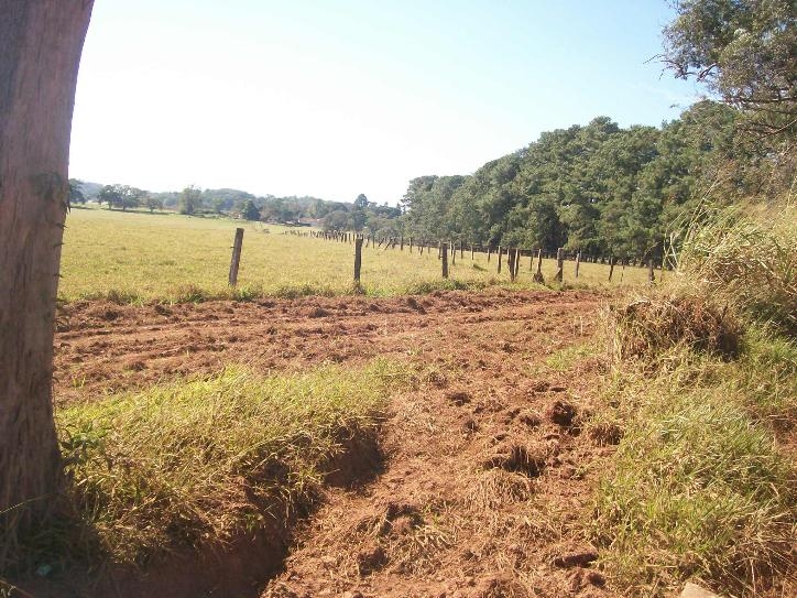 Comercial em , Jaguariúna - Foto 9