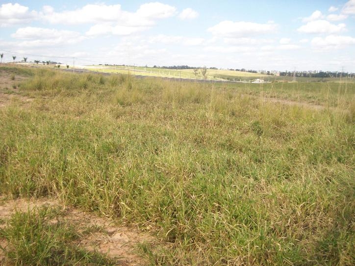 Comercial em , Jaguariúna - Foto 11