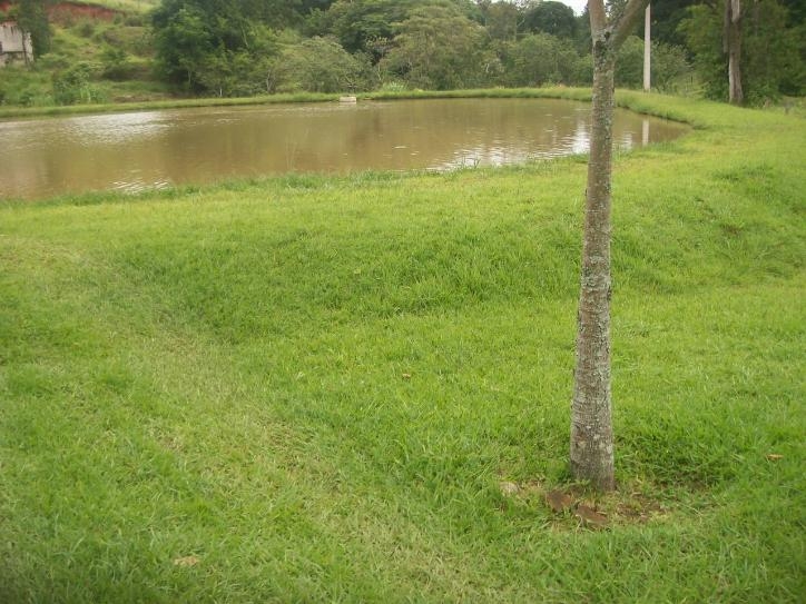 Rural em Chácara São Francisco, Amparo - Foto 5
