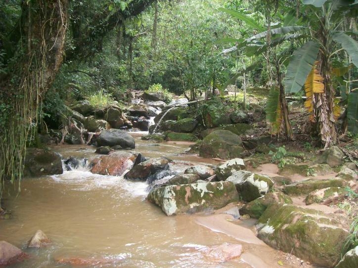 Rural em Chácara São Francisco, Amparo - Foto 9