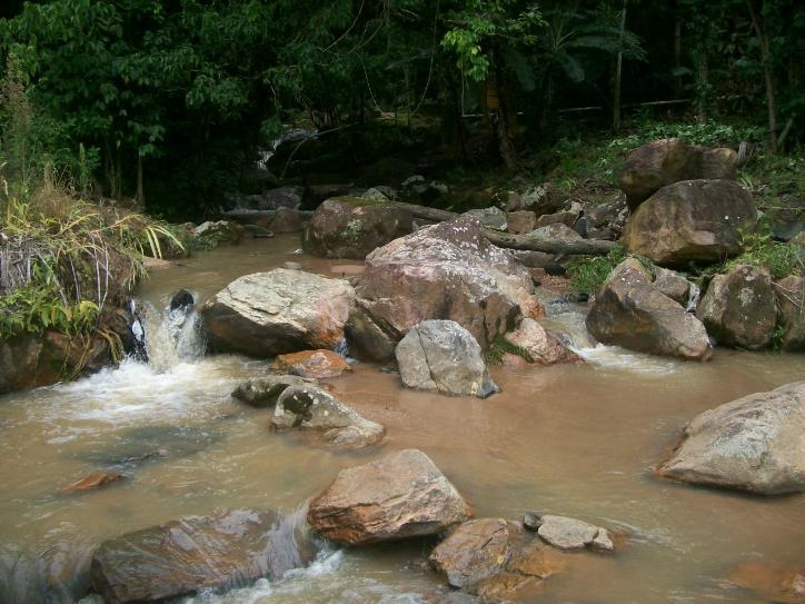 Rural em Chácara São Francisco, Amparo - Foto 10