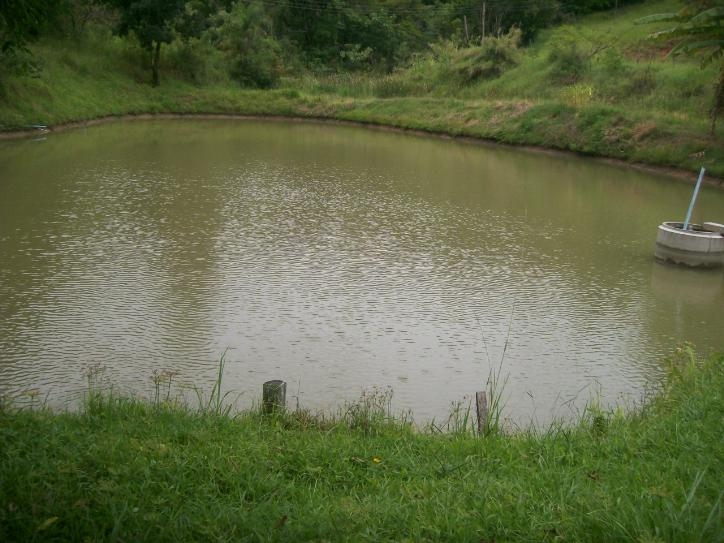 Rural em Chácara São Francisco, Amparo - Foto 12