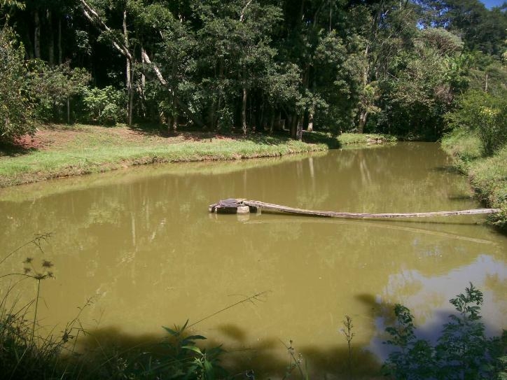Rural em Cruzeiro, Morungaba - Foto 10