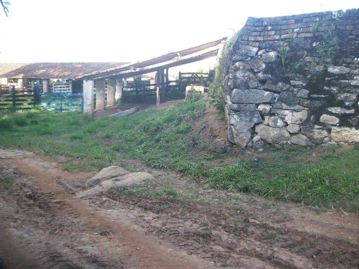 Rural em Silvas, Morungaba - Rural - Silvas - Foto 3