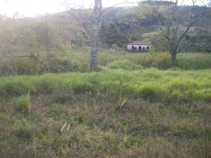 Rural em Silvas, Morungaba - Foto 14