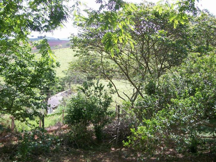 Rural em Tuiuti, Morungaba - Foto 10
