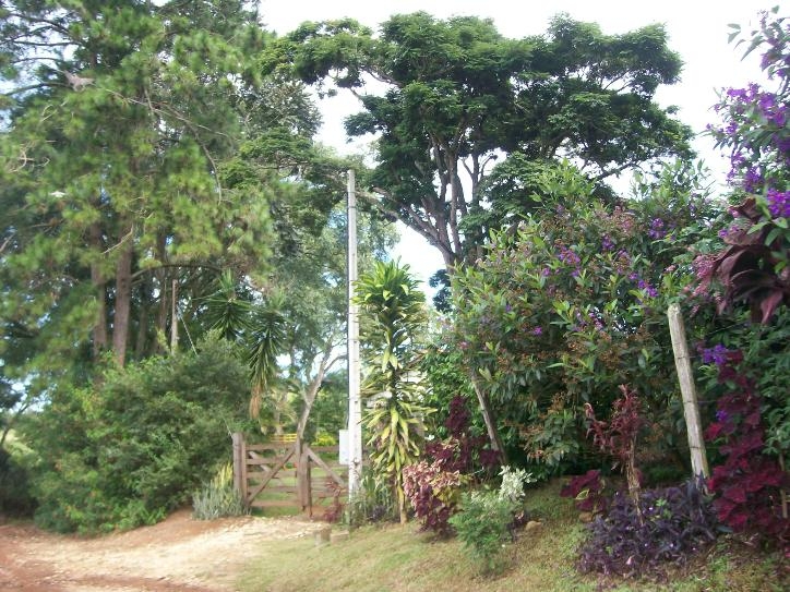 Rural em Tuiuti, Morungaba - Foto 11