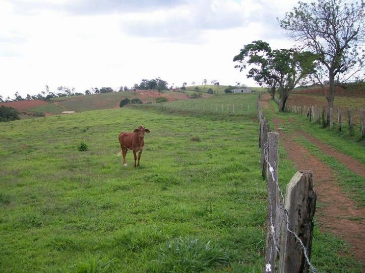Rural em Tuiuti, Morungaba - Foto 12