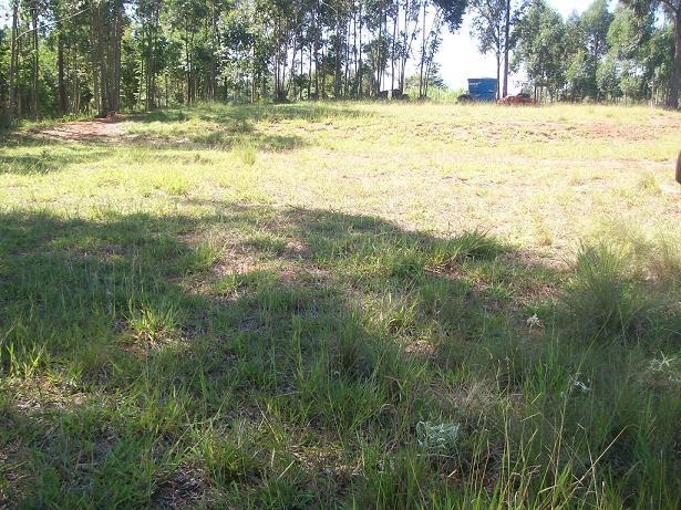 Comercial em Silvas, Morungaba - Comercial - Silvas