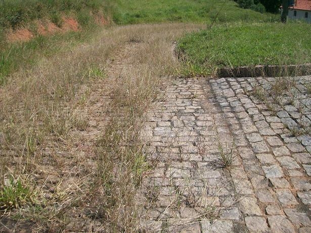 Comercial em Silvas, Morungaba - Comercial - Silvas - Foto 4