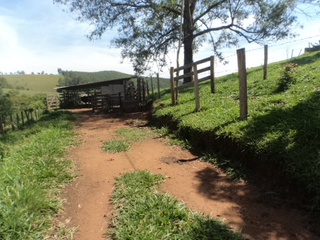 Rural em Pico alto, Morungaba - Rural - Pico alto - Foto 10