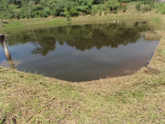 Rural em Pico alto, Morungaba - Rural - Pico alto - Foto 13