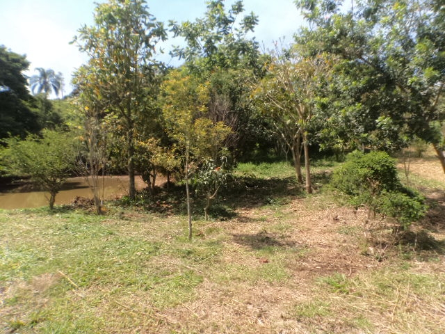 Rural em Pico alto, Morungaba - Rural - Pico alto - Foto 14