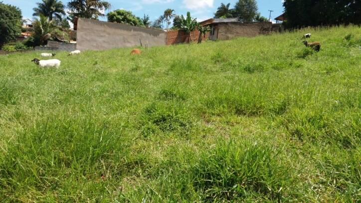 Terreno em Jardim Flaibam, Morungaba - Terreno - Jardim Flaibam - Foto 1