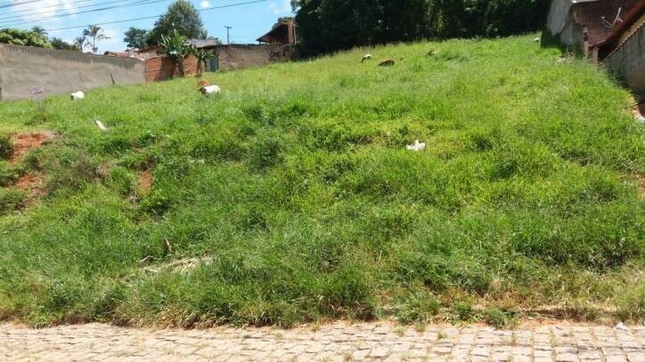 Terreno em Jardim Flaibam, Morungaba - Terreno - Jardim Flaibam - Foto 2