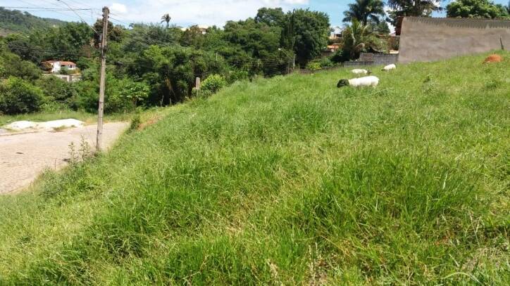 Terreno em Jardim Flaibam, Morungaba - Terreno - Jardim Flaibam - Foto 3