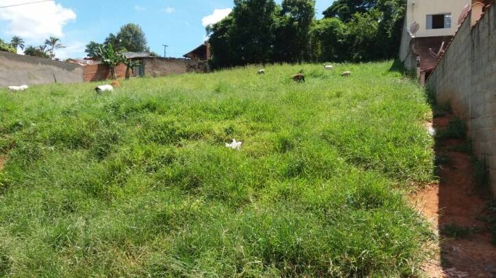 Terreno em Jardim Flaibam, Morungaba - Foto 4