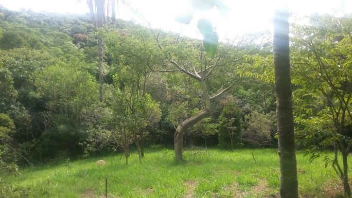 Rural em Pico alto, Morungaba - Foto 9
