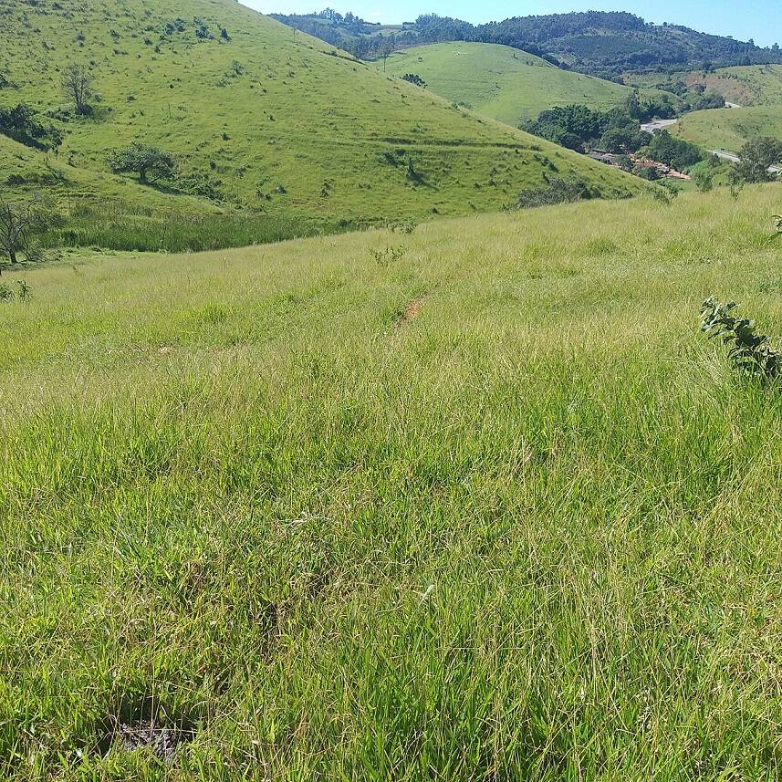 #271 - Fazenda para Venda em Morungaba - SP