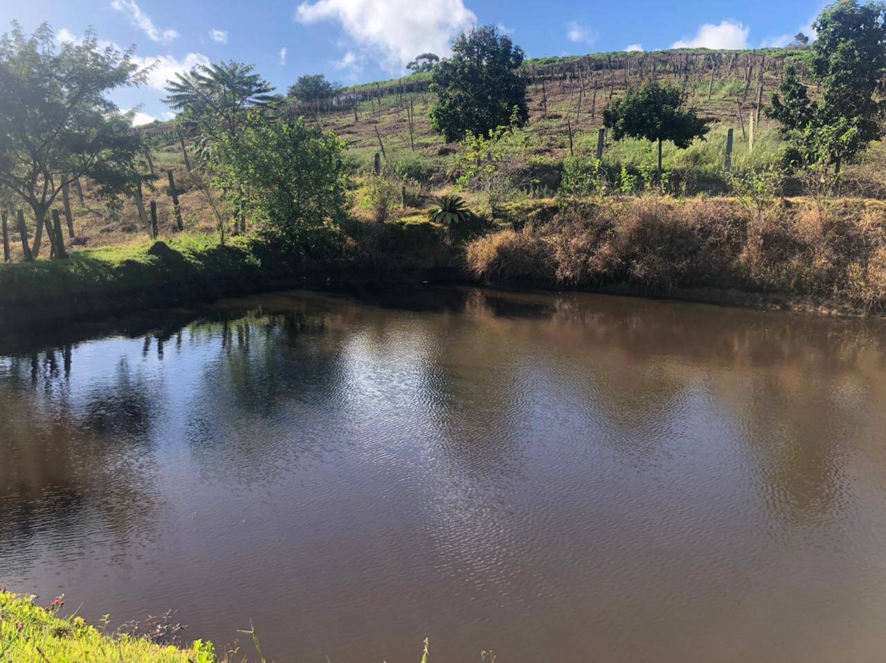 #174 - Sítio para Venda em Amparo - SP