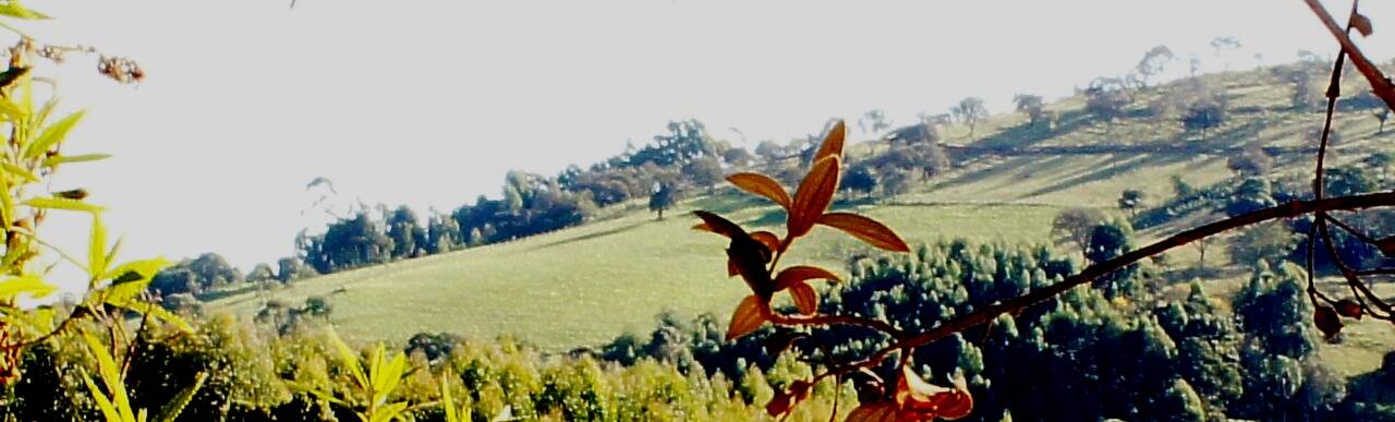 #140 - Sítio para Venda em Bueno Brandão - MG