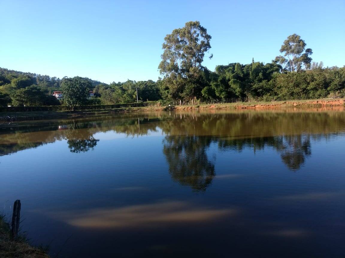 #156 - Sítio para Venda em Serra Negra - SP