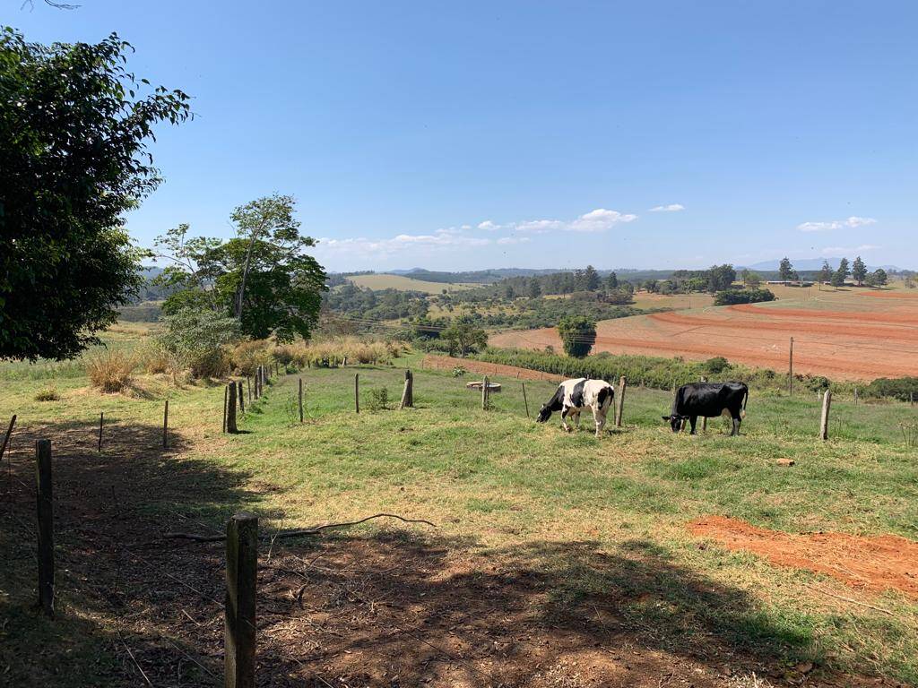 #071 - Sítio para Venda em Bragança Paulista - SP