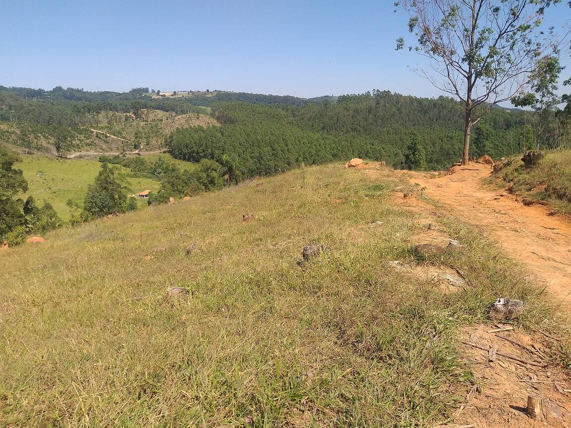 #251 - Sítio para Venda em Amparo - SP