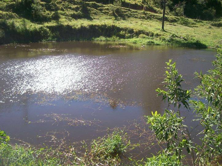 #027 - Sítio para Venda em Amparo - SP