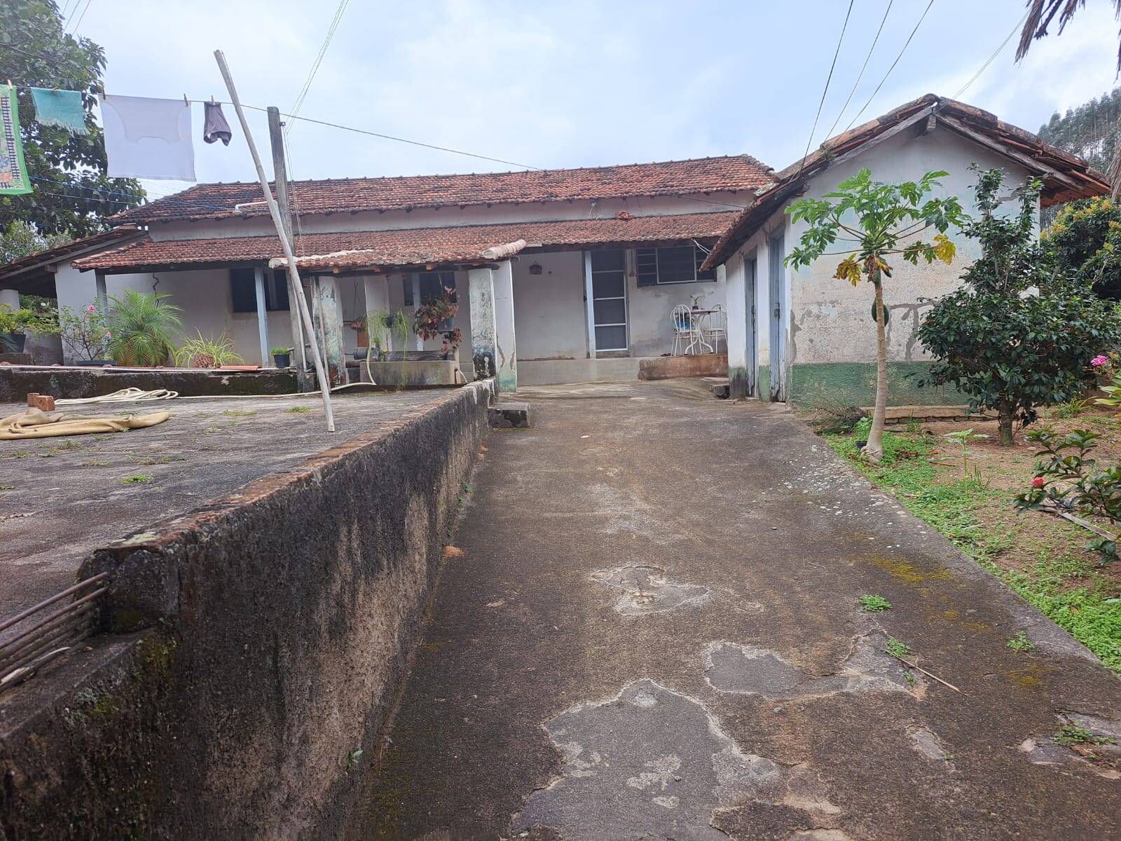 #246 - Sítio para Venda em Amparo - SP