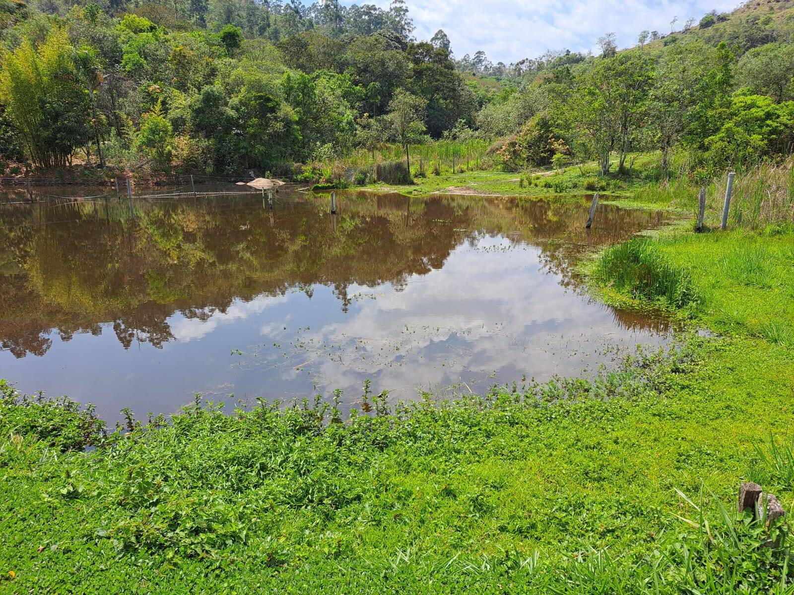 #267 - Sítio para Venda em Morungaba - SP