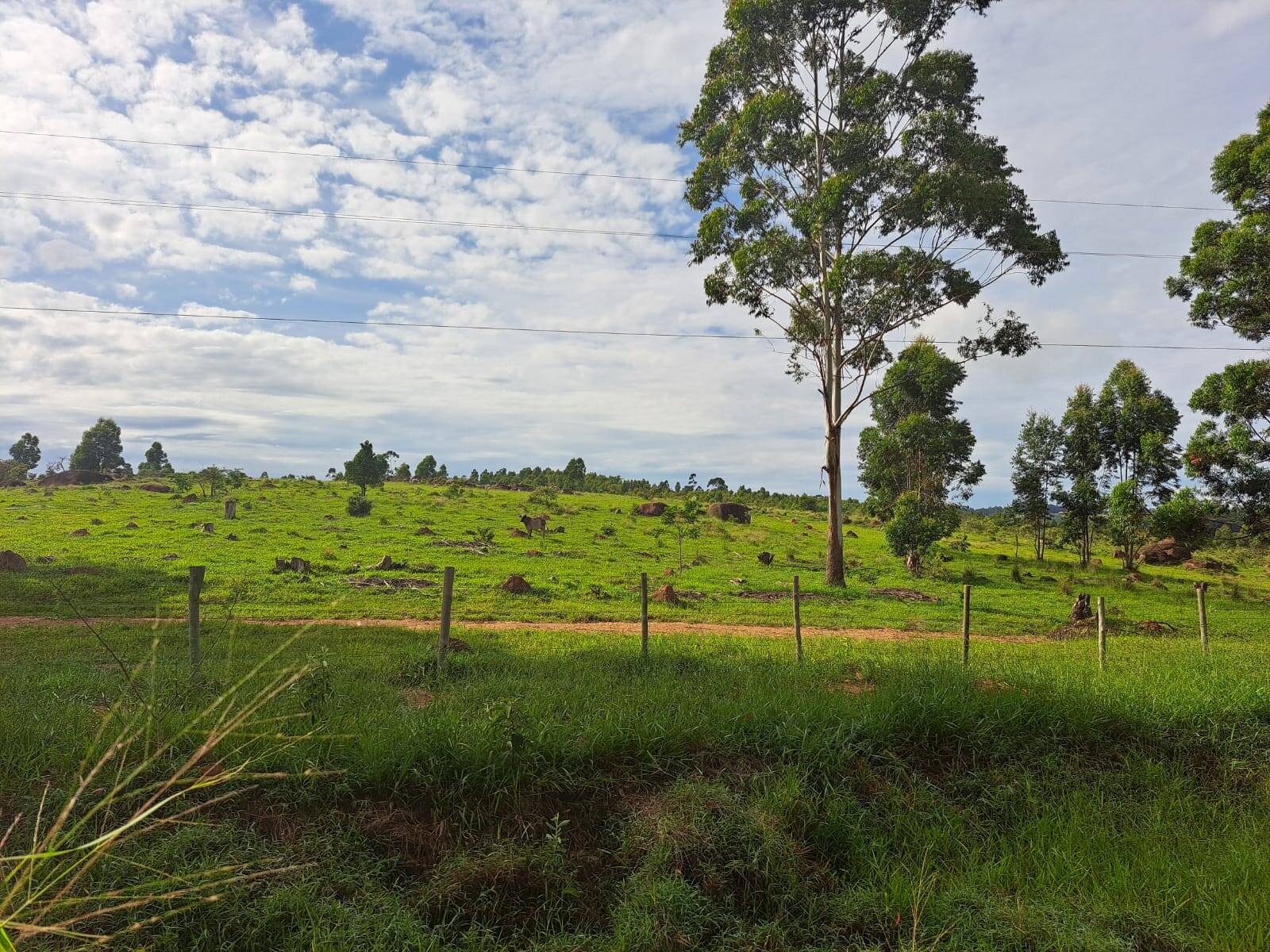 #347 - Fazenda para Venda em Campinas - SP