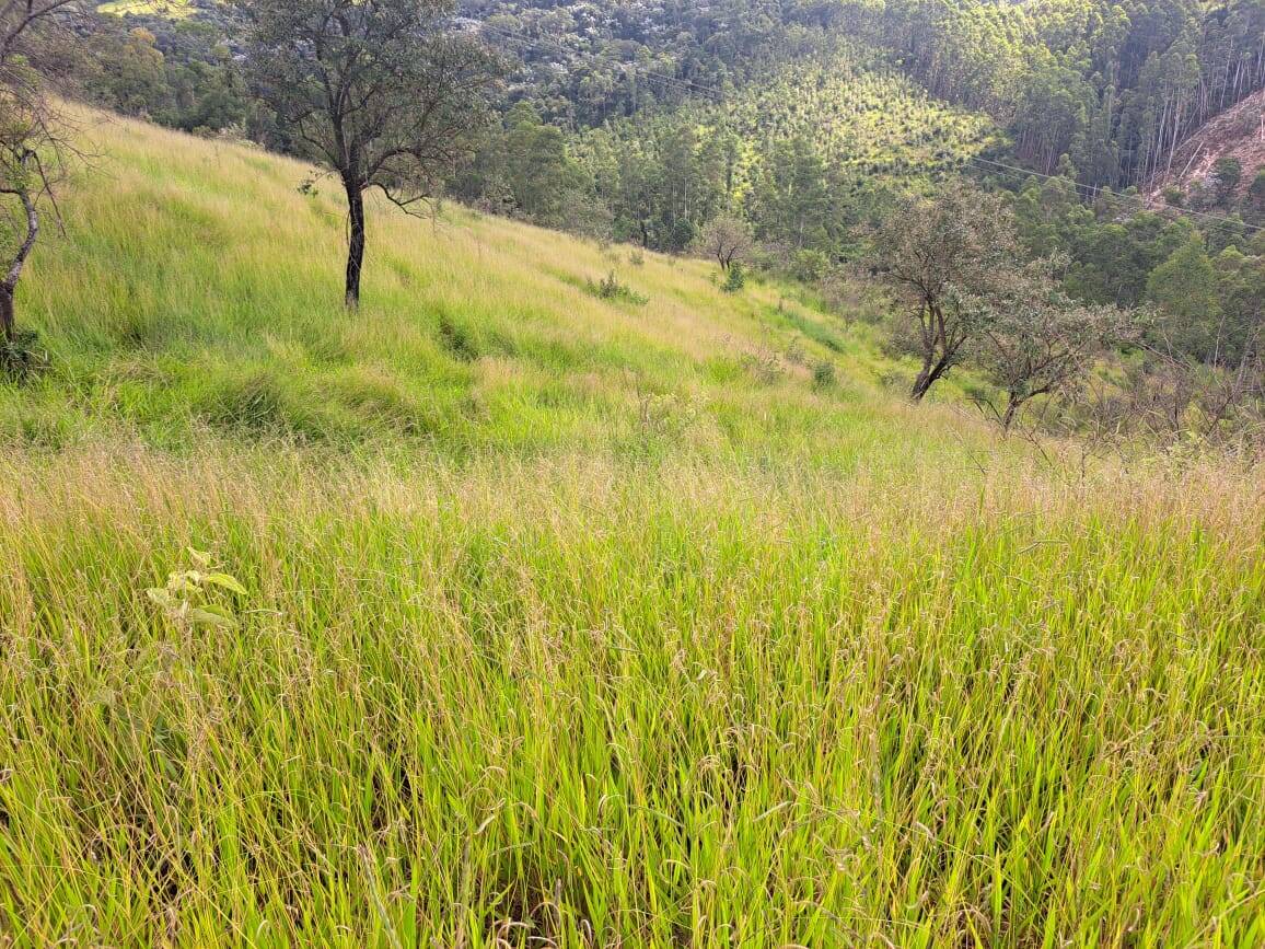 #371 - Sítio para Venda em Morungaba - SP