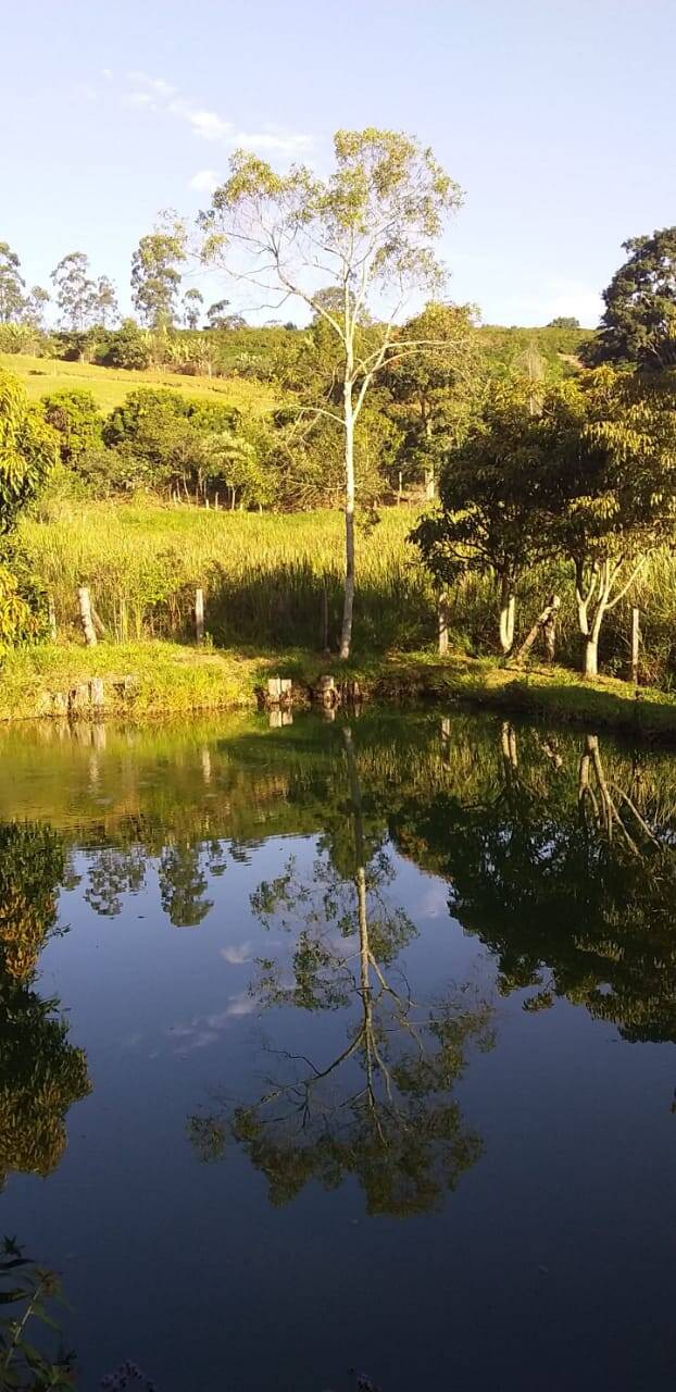 #374 - Sítio para Venda em Morungaba - SP