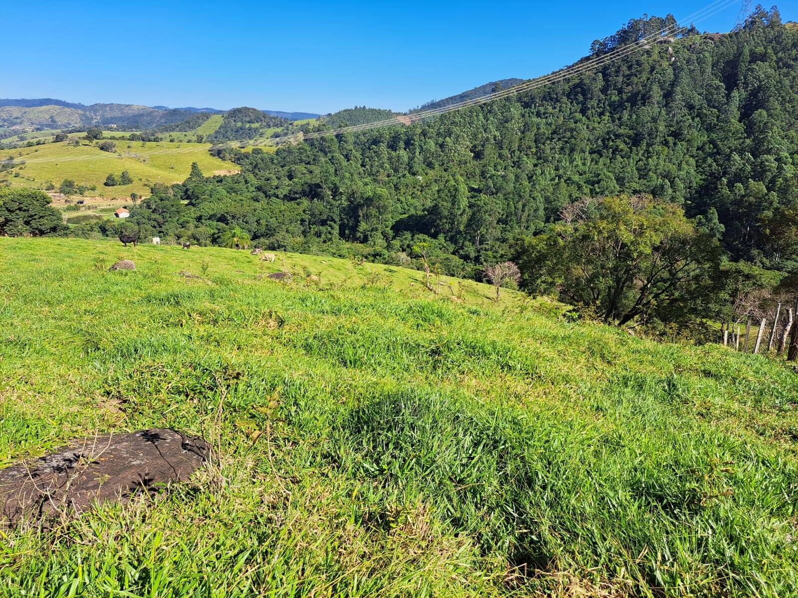 #395 - Sítio para Venda em Morungaba - SP