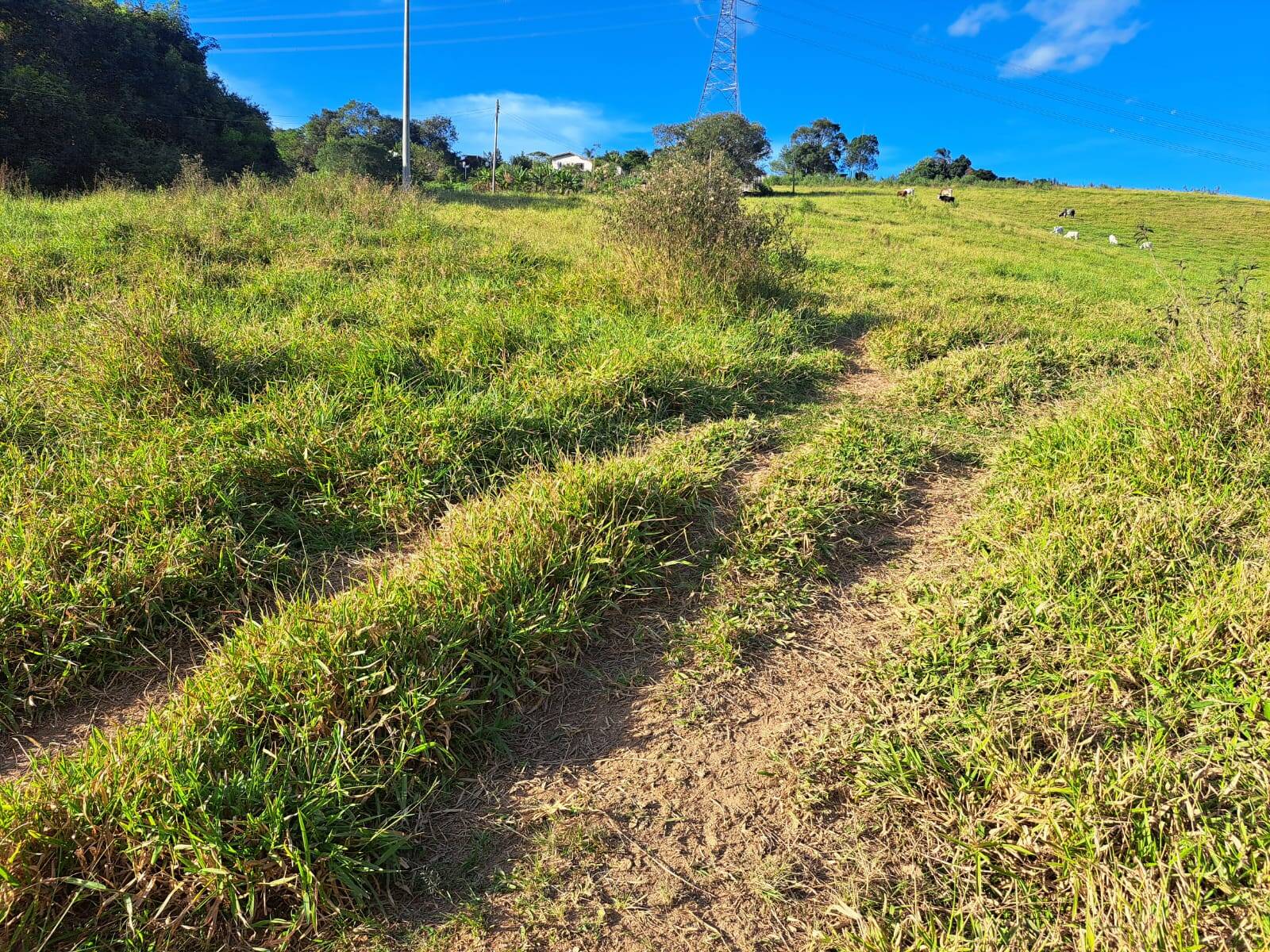 #087 - Sítio para Venda em Morungaba - SP