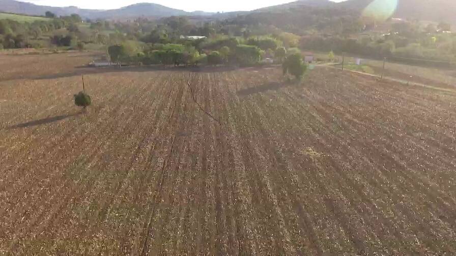 #221 - Sítio para Venda em Tuiuti - SP