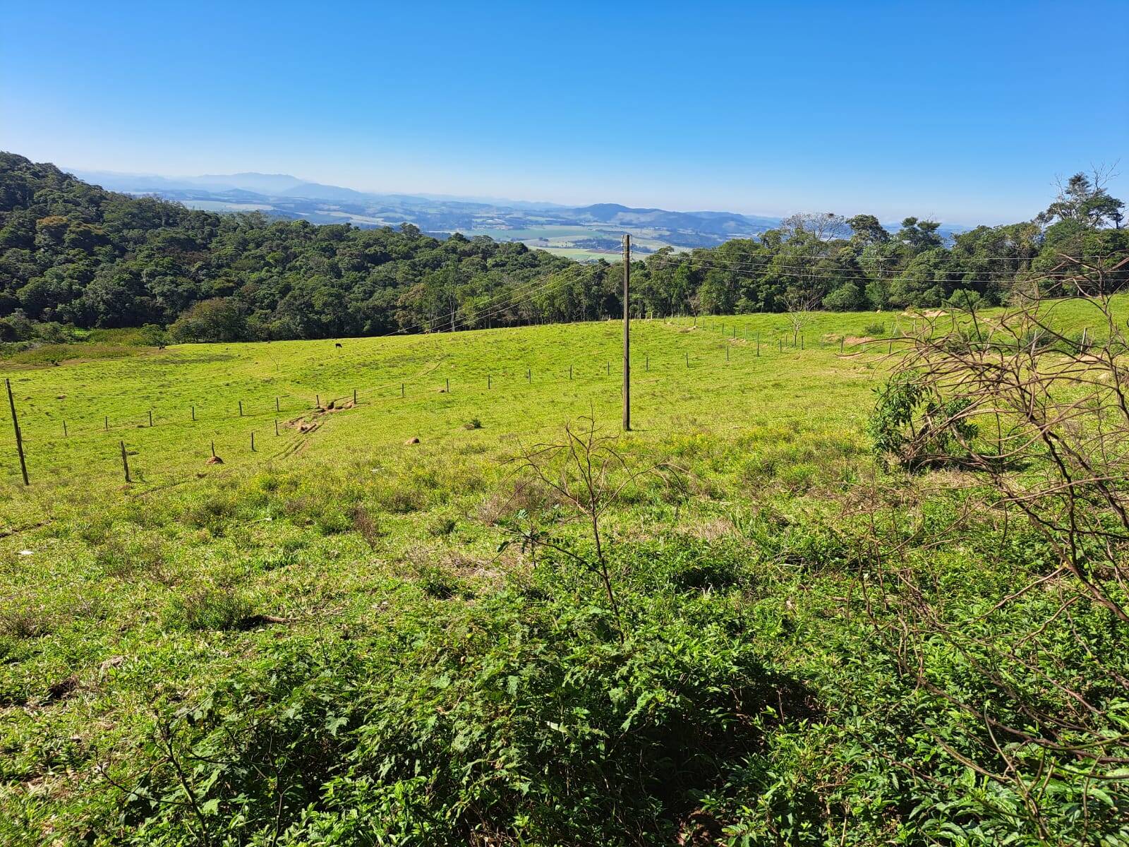 #403 - Sítio para Venda em Morungaba - SP