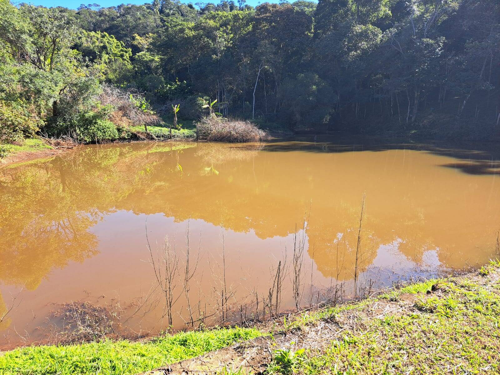 #405 - Sítio para Venda em Tuiuti - SP
